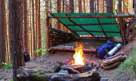 11 Must-Have Items for Your Wilderness Survival Shelter