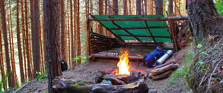 11 Must-Have Items for Your Wilderness Survival Shelter