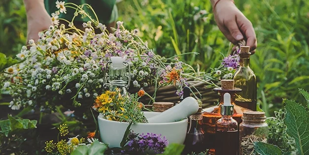 15 Medicinal Plants You Need To Start Growing This Spring