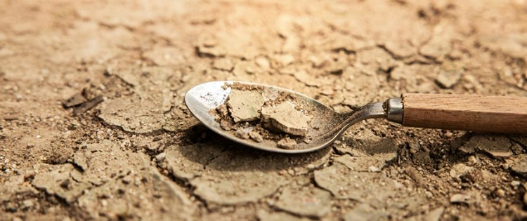 Are You Ready For The Upcoming Food Crisis?