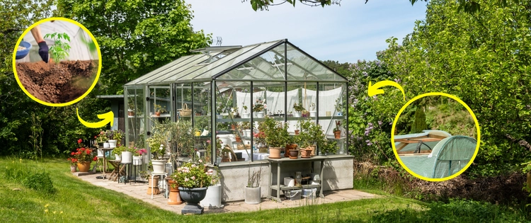 Avoid These 7 Common Greenhouse Gardening Mistakes