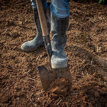 How To Start A Regenerative Garden