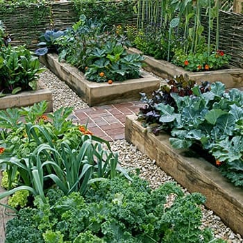 How To Start A Regenerative Garden - raised beds