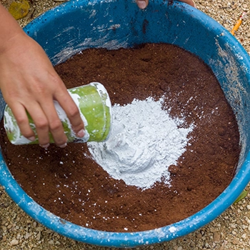 What Happens If You Use Powdered Milk To Your Plants