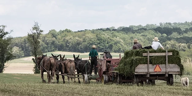 Amish Powerless Tools For A World Without Power