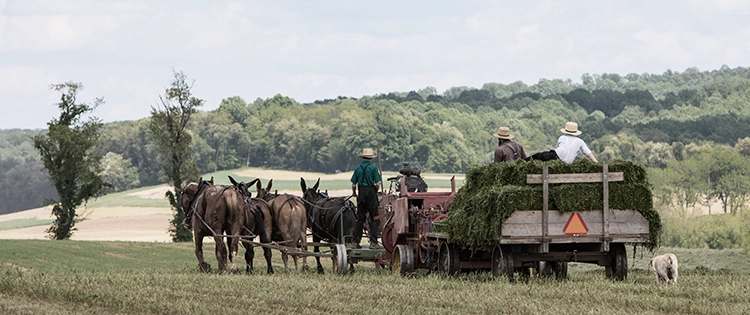 Amish Powerless Tools For A World Without Power