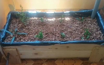 DIY Self-Watering Raised Garden Beds