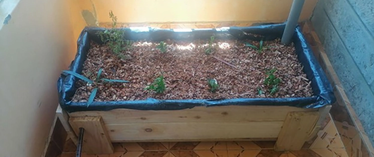 DIY Self-Watering Raised Garden Beds