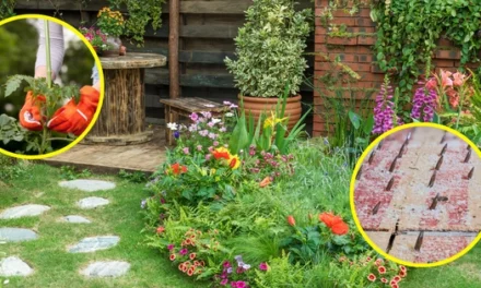 Ingenious Ways to Looter Proof Your Garden