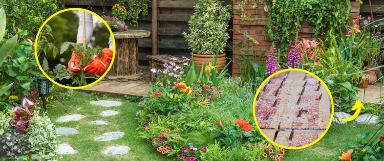 Ingenious Ways to Looter Proof Your Garden