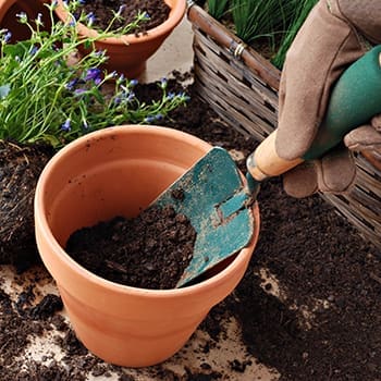 15 Tools That Should Not Be Missing From Your Gardening Kit