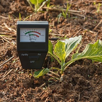 15 Tools That Should Not Be Missing From Your Gardening Kit