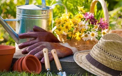 15 Tools That Should Not Be Missing From Your Gardening Kit