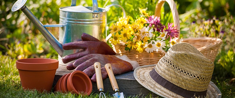 15 Tools That Should Not Be Missing From Your Gardening Kit