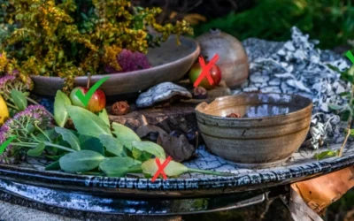 Foraging Mistakes You’re Probably Making