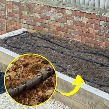 Drip Irrigation vs. Soaker Hose