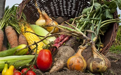 Vegetables You Can Harvest In Less Than A Month