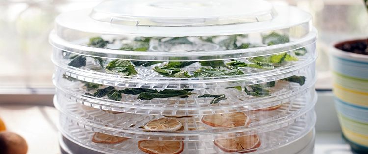 10 Foods That Last Longer If Dehydrated