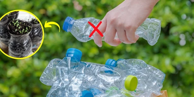 Do Not Throw Away Your Plastic Bottles, Do This Instead