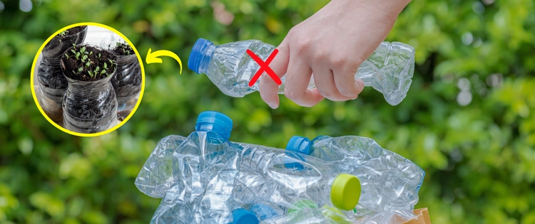 Do Not Throw Away Your Plastic Bottles, Do This Instead