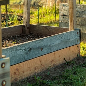 How Much Money I Saved in a Year By Growing My Own Food