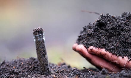 Soil Testing Methods Used By Pioneers That Still Work Today