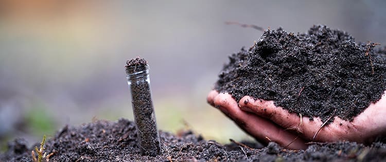 Soil Testing Methods Used By Pioneers That Still Work Today