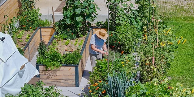 How to Double Your Harvest