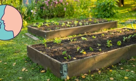 If You Smell This, Be Aware!