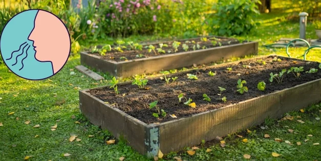 If You Smell This, Be Aware!