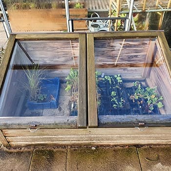 10 Household Items You Can Use as Mini-Greenhouses