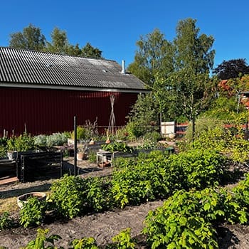 Frugal Lessons From My Grandfather Who Lived Through The Great Depression