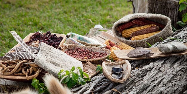 Wild Edibles Native Americans Survived On During Fall