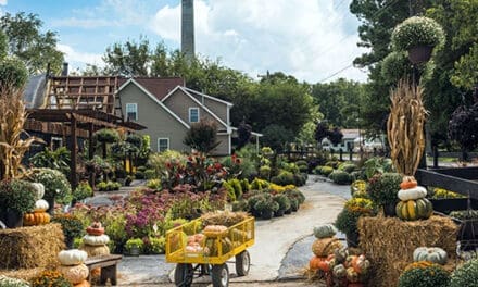 11 Items To Look For At An Amish Market