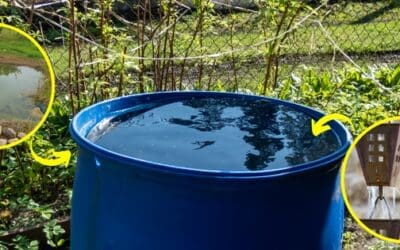 How to Collect Rainwater Without Gutters