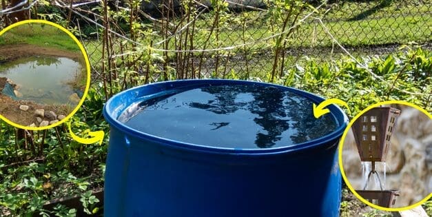 How to Collect Rainwater Without Gutters