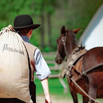 I Visited An Amish Farm. This Is How It Went