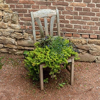 Ingenious Ways to Repurpose Old Furniture on Your Homestead