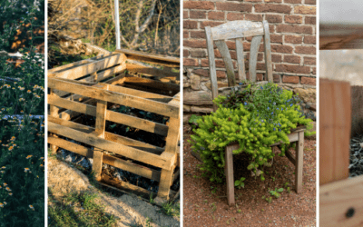 Ingenious Ways to Repurpose Old Furniture on Your Homestead