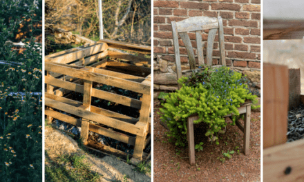 Ingenious Ways to Repurpose Old Furniture on Your Homestead