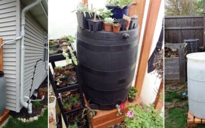 DIY Ingenious Rainwater Harvesting Systems