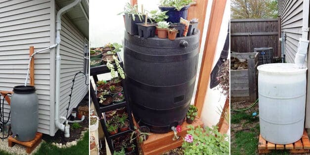 DIY Ingenious Rainwater Harvesting Systems