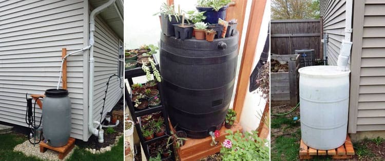 DIY Ingenious Rainwater Harvesting Systems