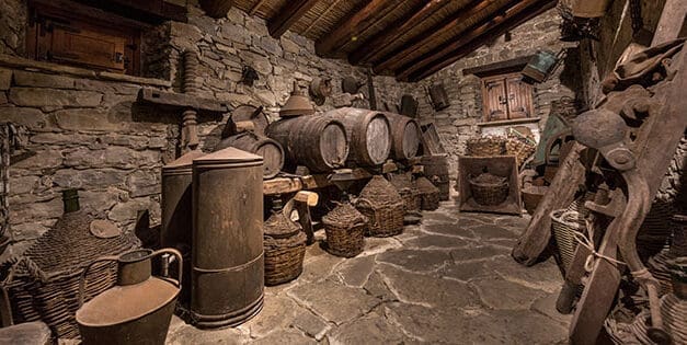 I Wish I’d Known This Before Building A Root Cellar