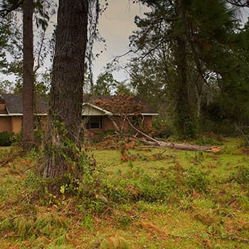 The First 7 Days After Hurricane Helene Hit My Homestead