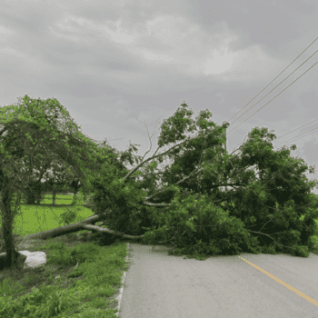 The First 7 Days After Hurricane Helene Hit My Homestead