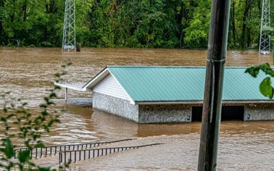 The First 7 Days After Hurricane Helene Hit My Homestead