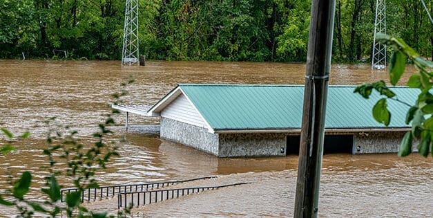 The First 7 Days After Hurricane Helene Hit My Homestead