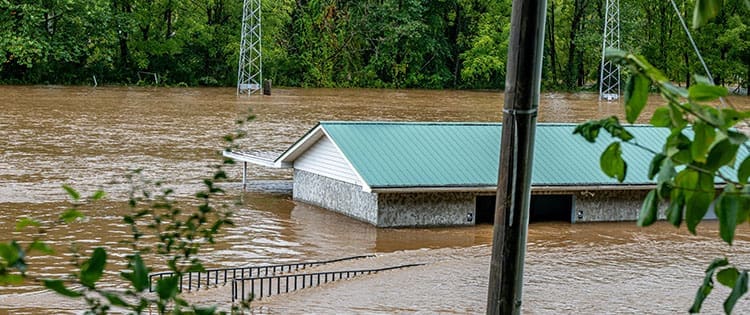 The First 7 Days After Hurricane Helene Hit My Homestead