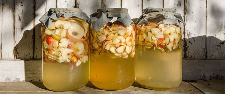 DIY Apple Cider Vinegar